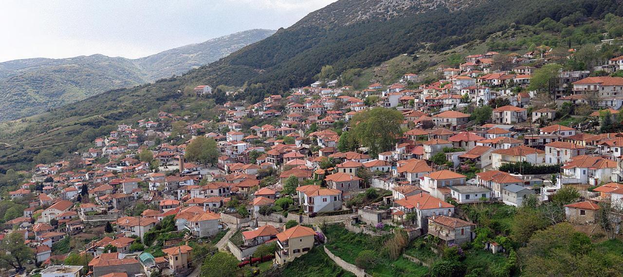 Rapsani Panorama Villa Экстерьер фото