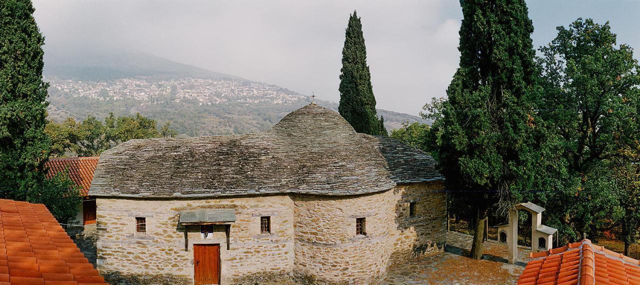 Rapsani Panorama Villa Экстерьер фото